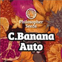 Auto Chiquita Banana 3 u fem  Philosopher