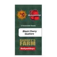 Black Cherry Gushers 3 u. fem. Barney's x Backpack Boyz