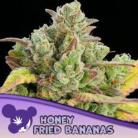 Honey Fried Bananas  3 u. fem Anesia