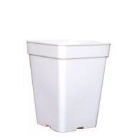 Maceta Cuadrada Blanca 13 x 13 x 14.5 cm. / 2.2 lt. - 25 ud.