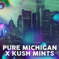 Michigan Mints  5 u. fem. Tramuntana Seeds