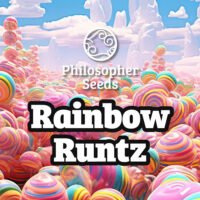 Rainbow Runtz 5 u fem  Philosopher