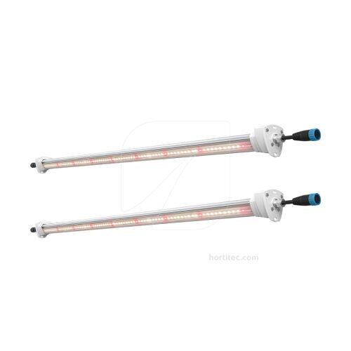 Inter Canopy LED